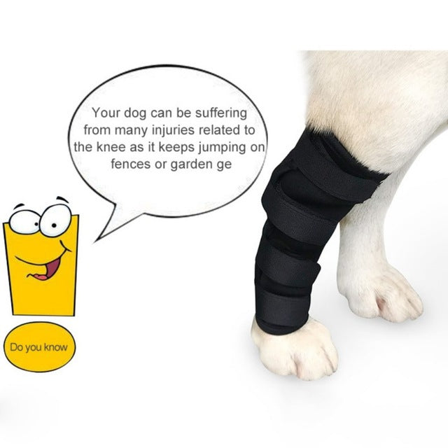 Dog leg hotsell bandage protector